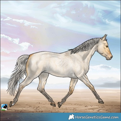 Horse Color:Silver Buckskin Roan Dun Rabicano 