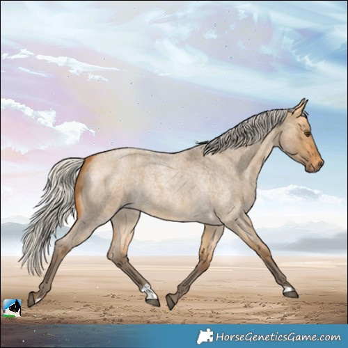 Horse Color:Silver Buckskin Roan Dun