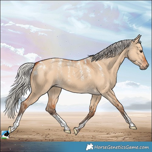 Horse Color:Powder White Silver Bay Dun