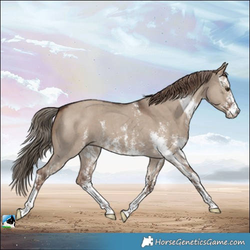 Horse Color:Liver Red Dun Sabino