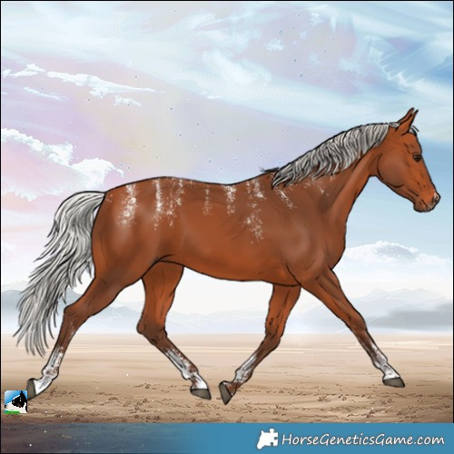 Horse Color:Powder White Silver Bay 