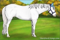 Horse Color:Silver Brown Roan Dun Sabino Splash Varnish 