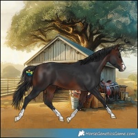 Horse Color:Brown 