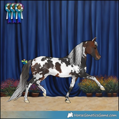 Horse Color:White Spotted Bay