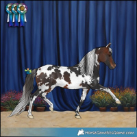 Horse Color:White Spotted Bay