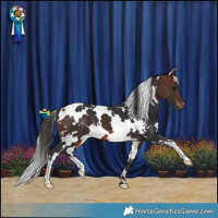 Horse Color:White Spotted Bay