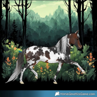 Horse Color:White Spotted Bay