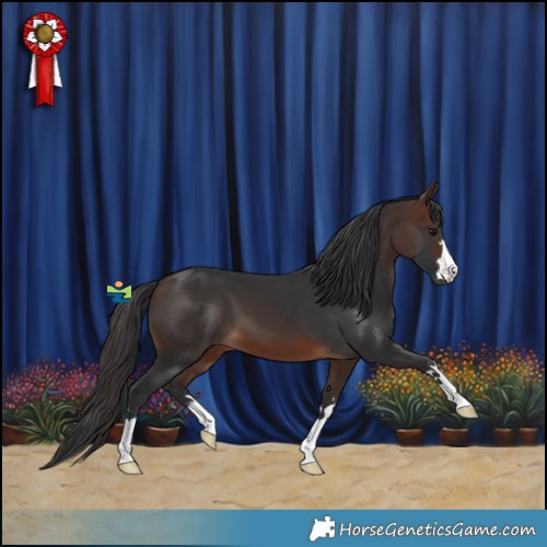 Horse Color:Brown 