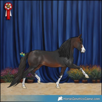 Horse Color:Brown 