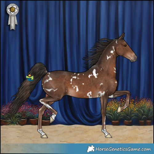 Horse Color:White Spotted Liver Chestnut 