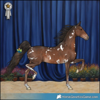 Horse Color:White Spotted Liver Chestnut 