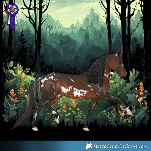 Horse Color:White Spotted Brown