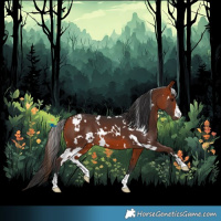 Horse Color:White Spotted Bay 