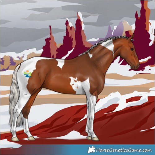 Horse Color:Silver Bay Tobiano 