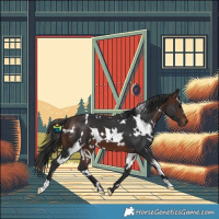 Horse Color:White Spotted Brown 