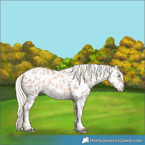 Horse Color:Chocolate Palomino Pearl Near Leopard 
