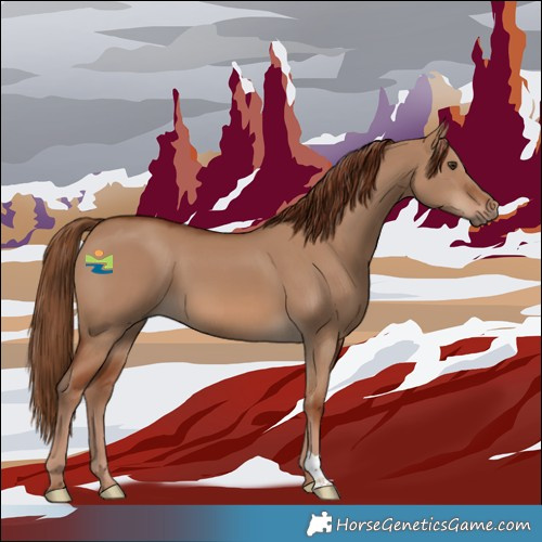 Horse Color:Red Dun 