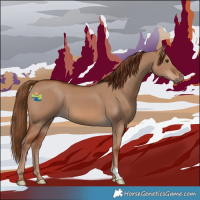 Horse Color:Red Dun 