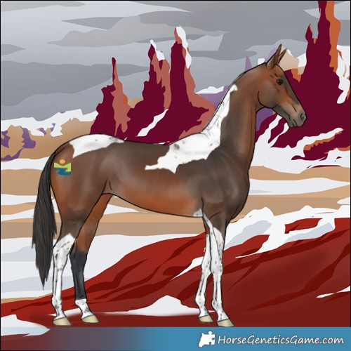 Horse Color:Bay Tobiano 