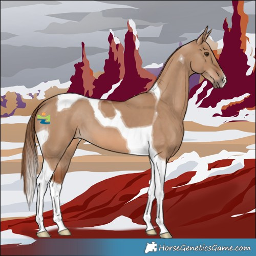Horse Color:Red Dun Tobiano 