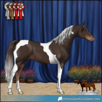 Horse Color:Liver Chestnut Tobiano 