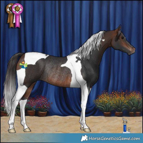 Horse Color:Brown Tobiano Rabicano 