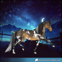 Horse Color:White Spotted Buckskin Varnish Rabicano
