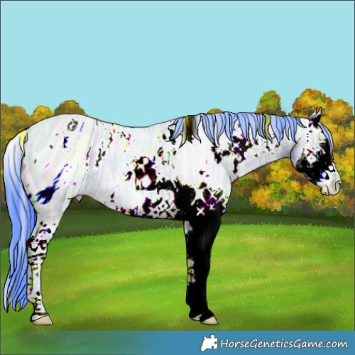 Horse Color:ERROR: UNKNOWN ANOMALY