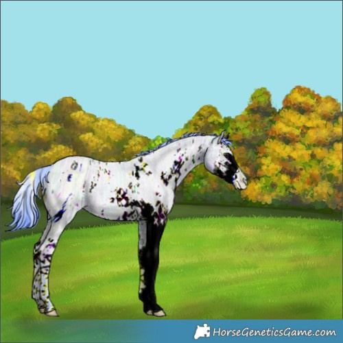 Horse Color:ERROR: UNKNOWN ANOMALY