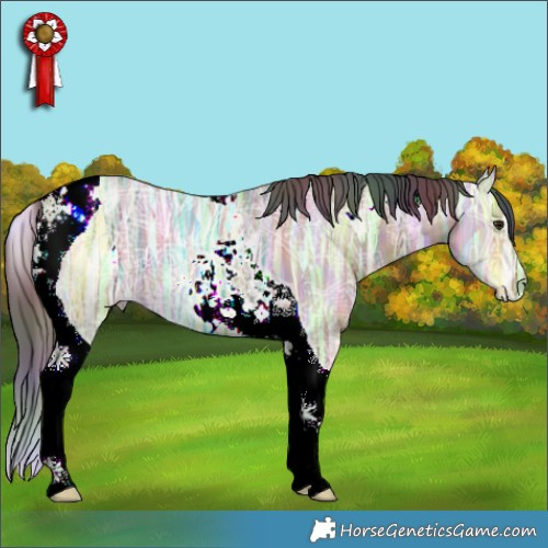 Horse Color:Nacre Brown Ice Dun Tobiano 