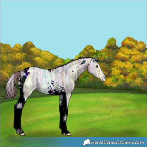 Horse Color:Nacre Brown Ice Dun Tobiano 