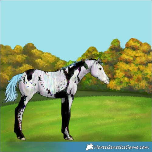 Horse Color:Watercolor White Spotted Brown Ice Dun Tobiano 