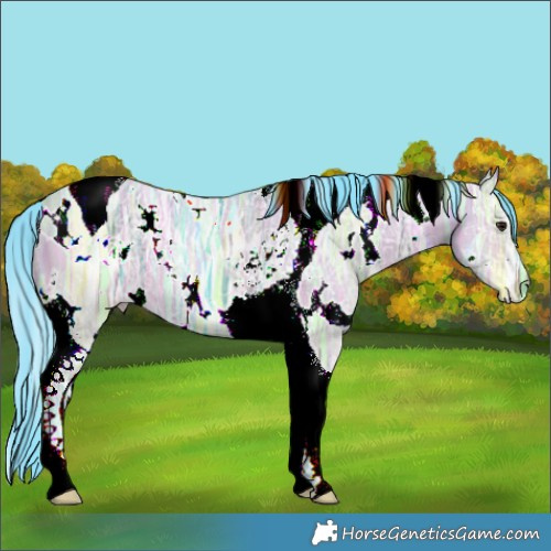 Horse Color:Watercolor White Spotted Brown Ice Dun Tobiano