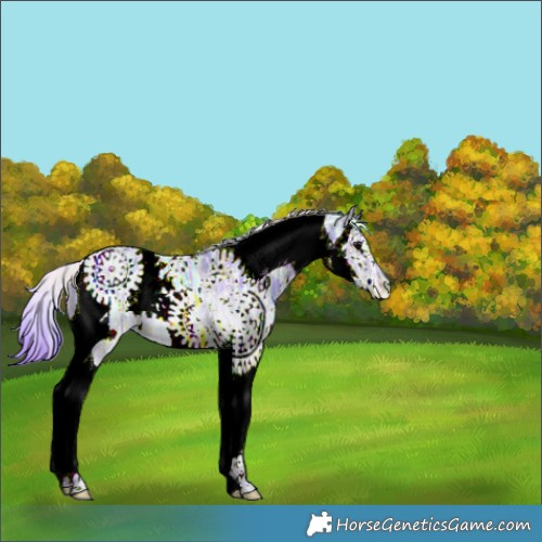 Horse Color:Nacre Watercolor White Spotted Black Ice Splash Tobiano 