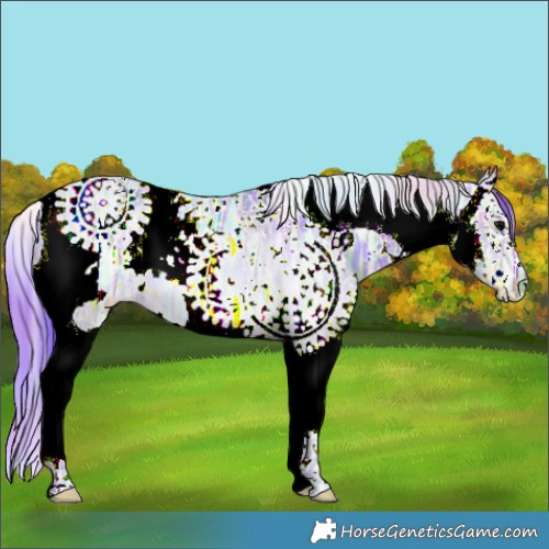 Horse Color:Nacre Watercolor White Spotted Black Ice Splash Tobiano