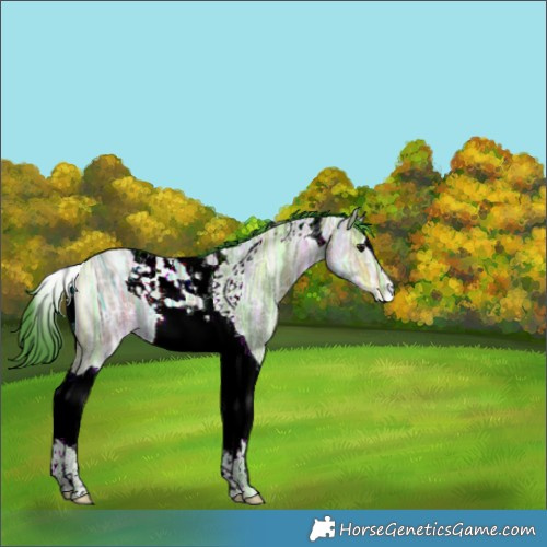 Horse Color:ERROR: UNKNOWN ANOMALY