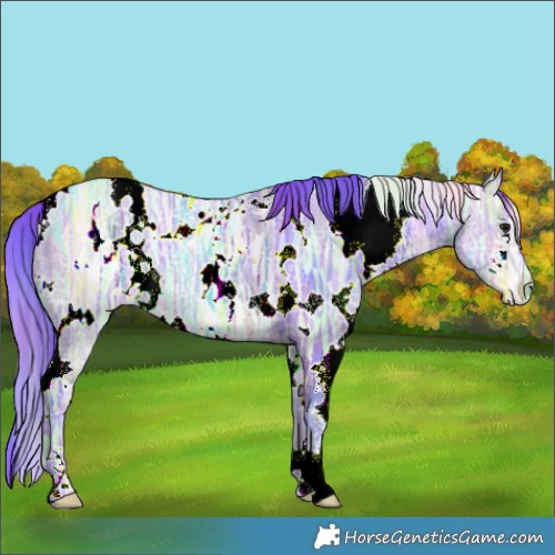 Horse Color:Nacre Watercolor White Spotted Brown Ice