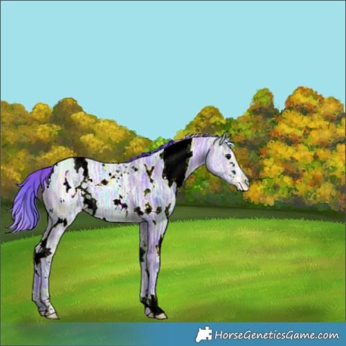 Horse Color:Nacre Watercolor White Spotted Brown Ice 