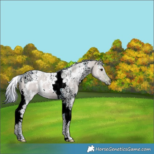 Horse Color:Watercolor White Spotted Bay Ice Dun Tobiano 