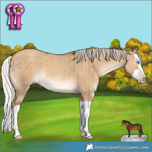 Horse Color:Gray Silver Classic Champagne Dun Splash Brindle 