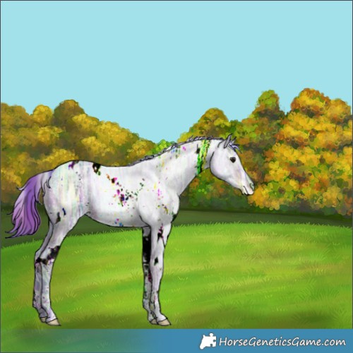 Horse Color:Nacre Watercolor White Spotted Brown Ice 