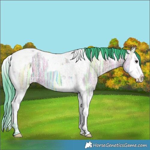 Horse Color:Watercolor Brown Ice Dun Splash Tobiano 