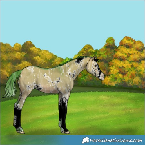 Horse Color:Watercolor White Spotted Brown Ice Dun Splash 