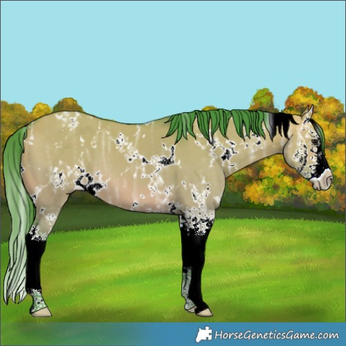 Horse Color:Watercolor White Spotted Brown Ice Dun Splash 