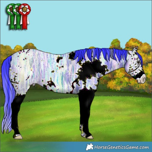 Horse Color:Watercolor White Spotted Brown Ice Dun Splash 