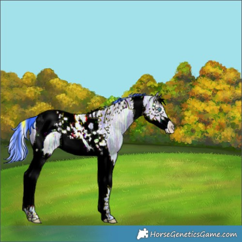 Horse Color:Watercolor Brown Ice Dun Splash Tobiano 