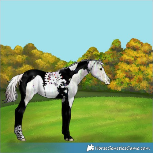 Horse Color:Nacre Brown Ice Dun Tobiano 