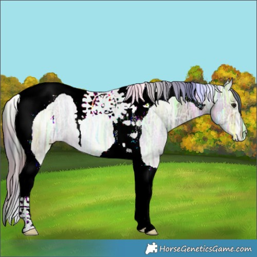 Horse Color:Nacre Brown Ice Dun Tobiano 