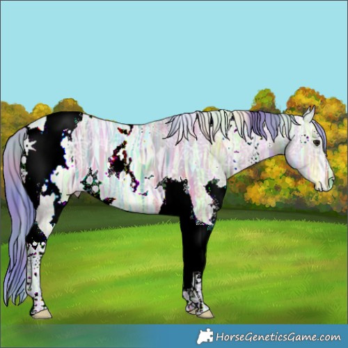 Horse Color:Nacre Watercolor White Spotted Brown Ice Dun Tobiano