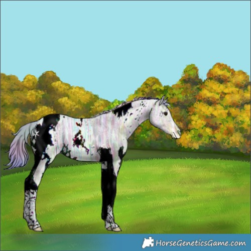 Horse Color:Nacre Watercolor White Spotted Brown Ice Dun Tobiano 